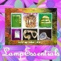 Lamp Essentials