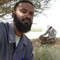 Saif Alfedawe