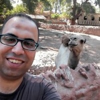 Nour Ali