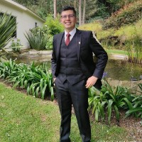 Daniel Alejandro Mesa Vargas