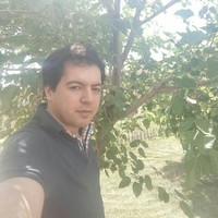 Ramin Barzegar