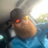 Travis Gaskins
