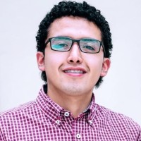 Jean Carlos Alarcón Ochoa