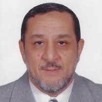Medhat Dessouki