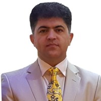 MOHSEN FARHANGI