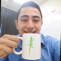 Alexander Ernesto Zamora Martínez