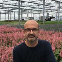 Etienne Leboeuf