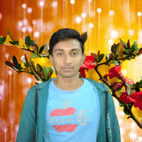 Avi Sarkar