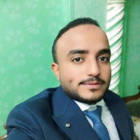 Mohamed El Hassnawi