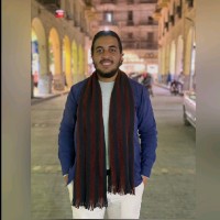 Mohamed Lashin