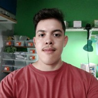 João Victor de Paula