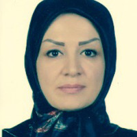 Leila Sorkhi