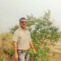 Pramod Singh