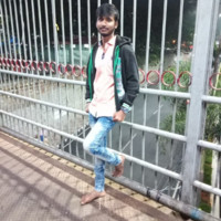 Padmanaban M