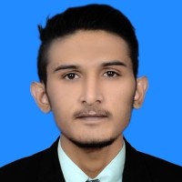 Muhammad Anas