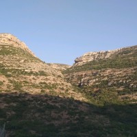 أبوعبيدة العبيدي