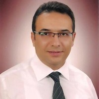 SEYHMUS OZGUR