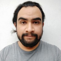 Luis Fernando Arriaga Vera