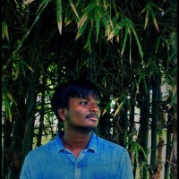 Viswaa Selvam.S