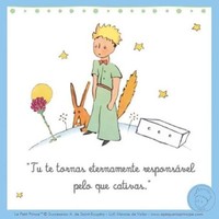 Anabela Pereira Neves