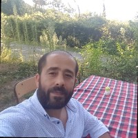 Barış Çolak