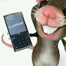 murilo FF