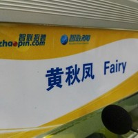 黄秋凤