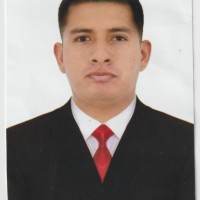 Jorge Andrés Palma Chávez