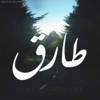 Tarek Idris