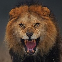 Sanjay Singh
