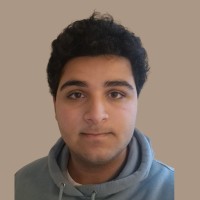 Artin Abdoullahi Mahavi