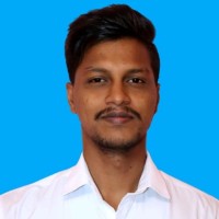 Vigneshwaran L