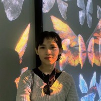 Hai Anh Nguyen