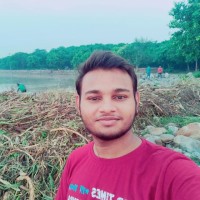 Ankit Rajput