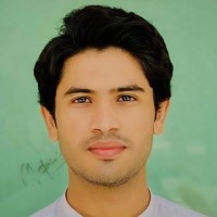 Hasnain Asif