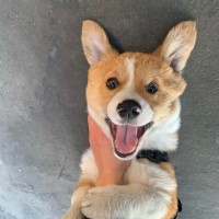 方育倩