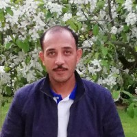 Hany Elkholy
