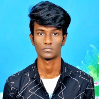 Vishwa K N