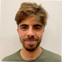 Francesco Salvi