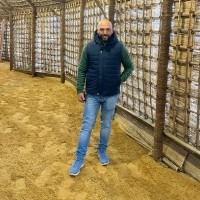 Hossam Seliem, Mba
