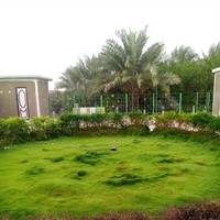 عمر عمر