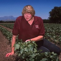 Denise Mcwilliams