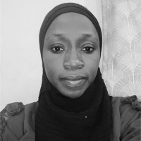Halimah Nasiru PhD(in view),BIDA,FMVA, M.Tech, ACA, B.Tech
