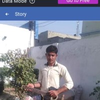 Muhammad Shahid