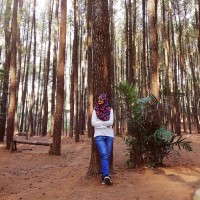Nor Hafizah Omar
