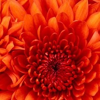 venkatesan srinivasan