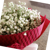 Noor Redha Alhammali