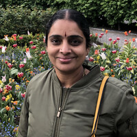 Veena Desai