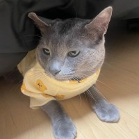 유성은
