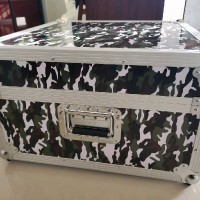 尹向阳